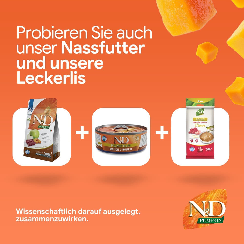 Feline Adult Kürbis Wild, Apfel
