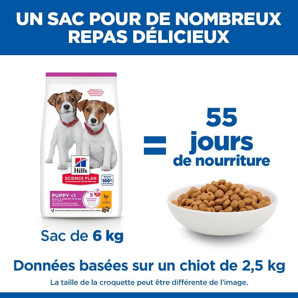 Puppy Small & Mini Breed