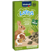 Rodent Loftys Timothy
