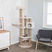 Nigella cat scratcher