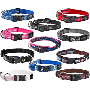 Collier pour chien Fancy Dress