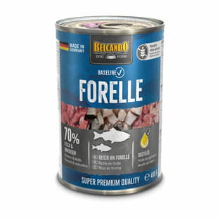 Baseline Forelle