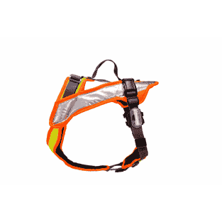 Vary Night, jaune fluo / orange