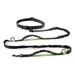 Joggingleine mit Gürtel