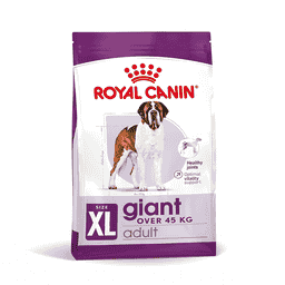 Giant Adult