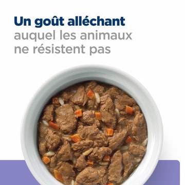 Canine i/d Low Fat Digestive Care Stew - Boîte