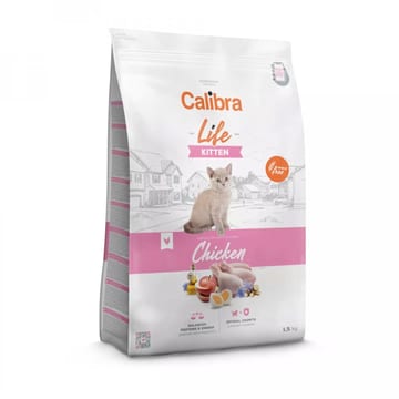 Life Kitten Poulet