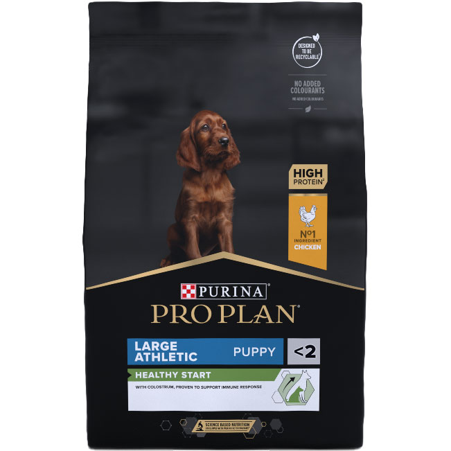 LARGE ATHLETIC PUPPY Healthy Start