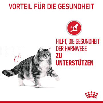 Urinary Care Gravy  - Frischebeutel