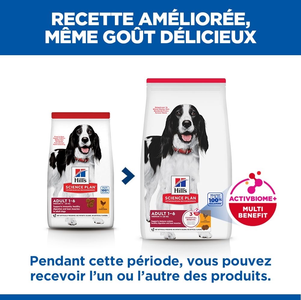 Canine Adult Medium Breed Chicken