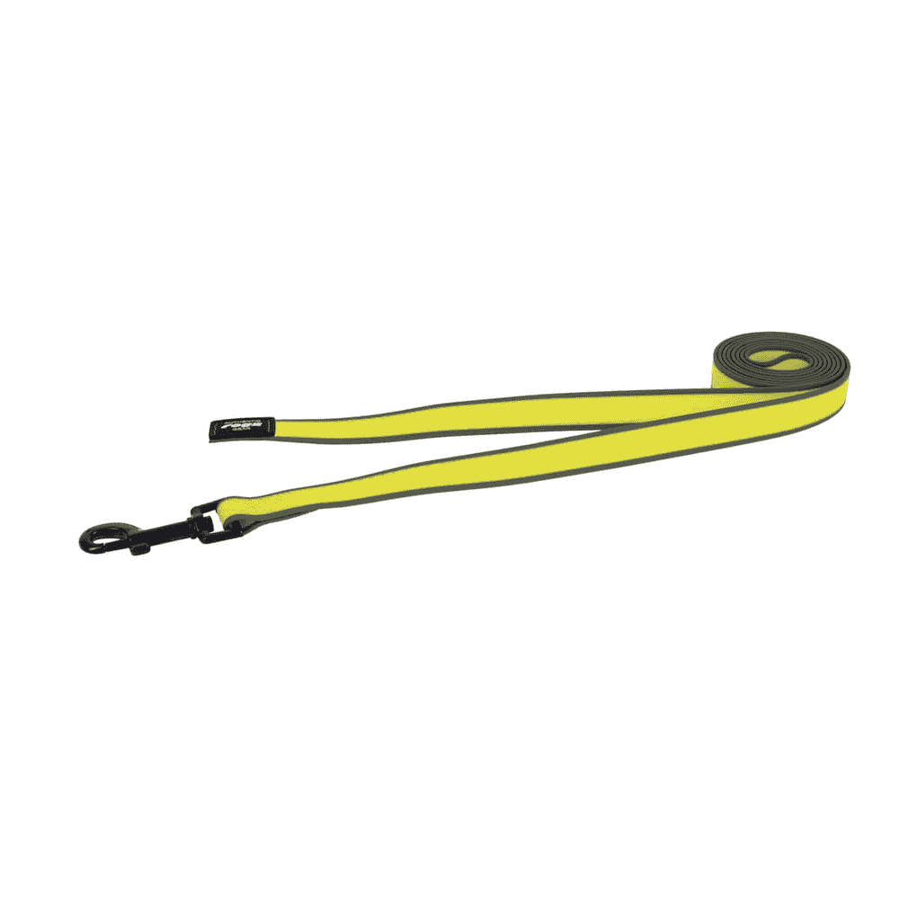 Amphibian (formerly Hydrotech) training leash