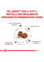 Pill Assist Medium & Large Dog
