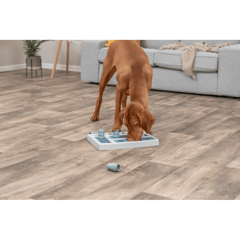 Dog Activity Chess