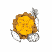 SteamCooked Topping Orange