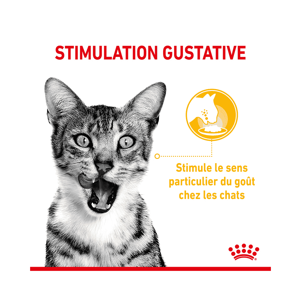 SENSORY SMELL, TASTE, FEEL en Sauce, Sachets