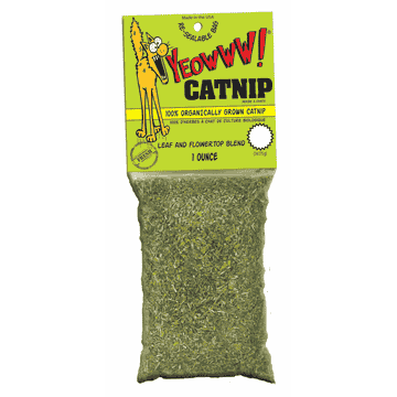 Catnip (Menthe à chat)