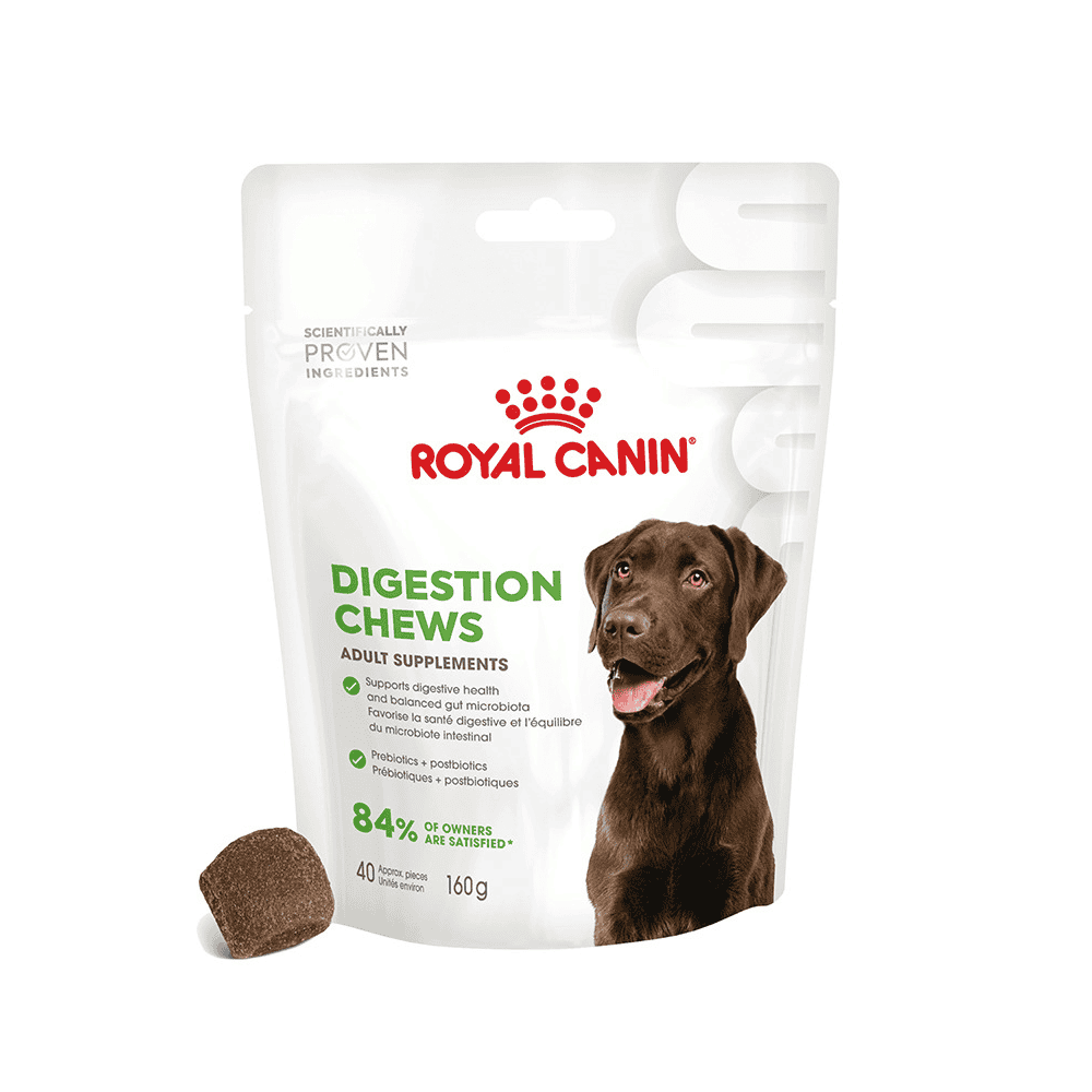 Digestion Chews Adult Supplements