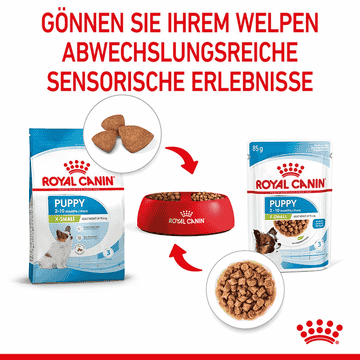 X-Small Puppy Gravy - Frischebeutel
