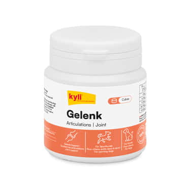 Gelenk Cubes