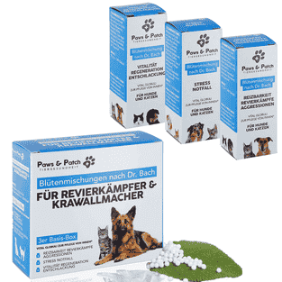 Blütenmischung 3er Set für Revierkämpfer und Krawallmacher