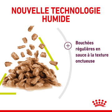 Sensory SMELL (Morceaux en sauce) Sachets