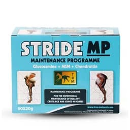 Stride MP