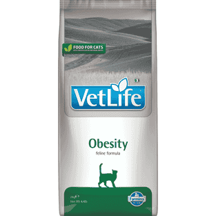 Feline Obesity