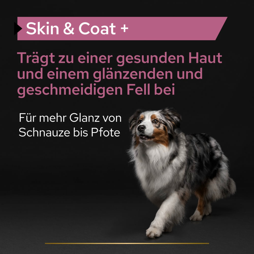 Dog Skin &amp; Coat +