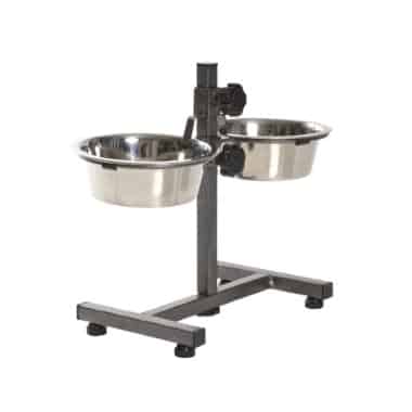 Bar pour chiens