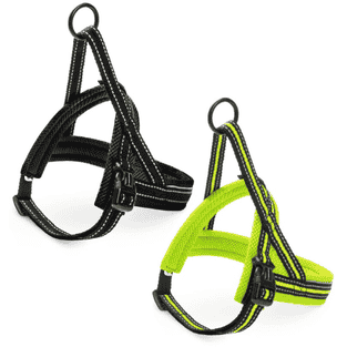 Nordic Sport L harness