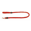 Active Dog city leash