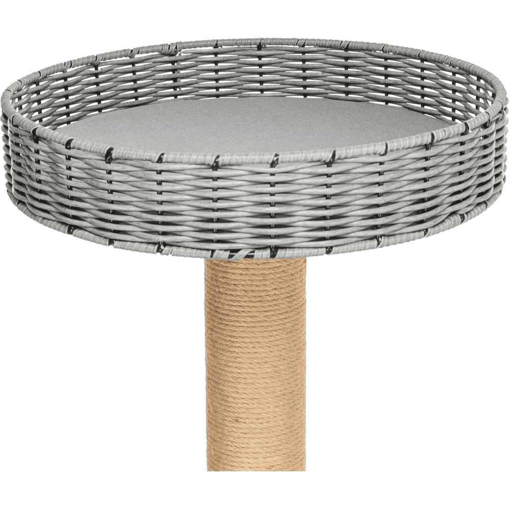 Outdoor Cat Scratcher Amalia, Gray