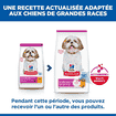 Canine Mature Adult 7+ Small & Mini Breed