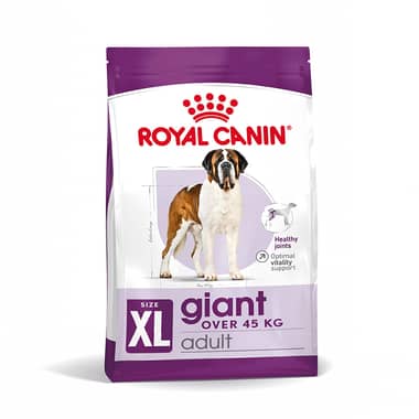 Giant Adult