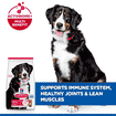 Canine Adult Large Breed Lamb & Rice 12 + 2 kg Bonus Bag