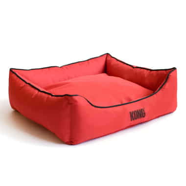 Kong lounger store
