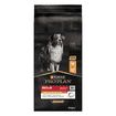 MEDIUM ADULT Everyday Nutrition