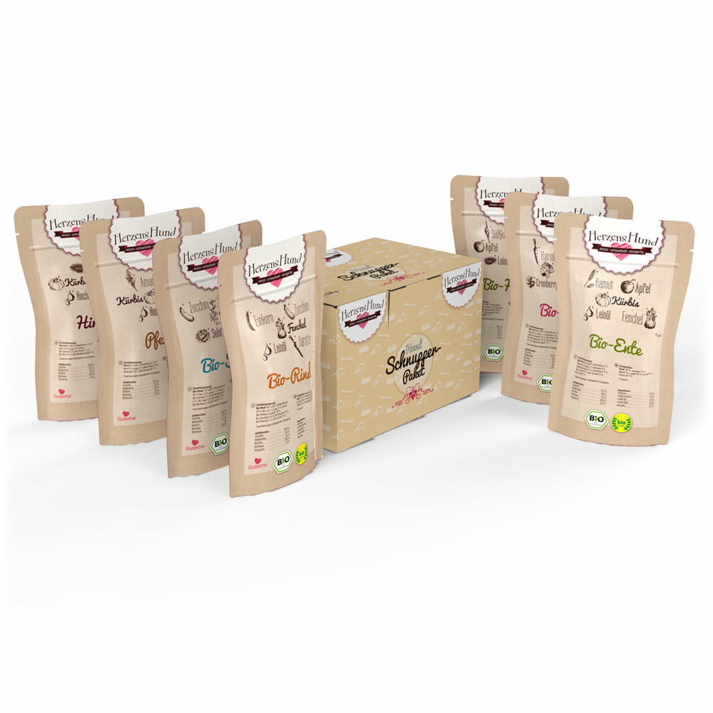 Pack découverte chien