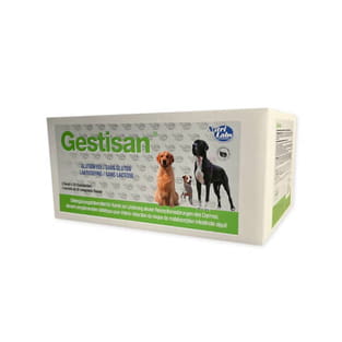 Gestisan