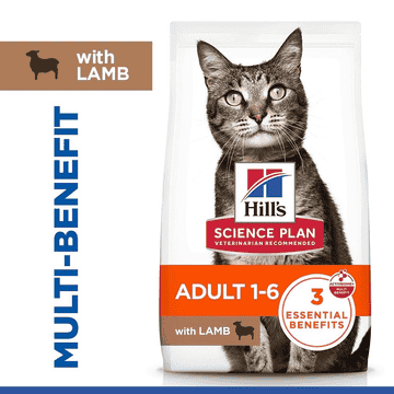 Feline Adult with Lamb