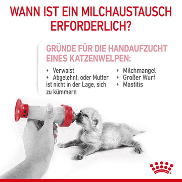 Babycat Milk