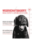 Immunity & Digestion Chews Puppy Supplements