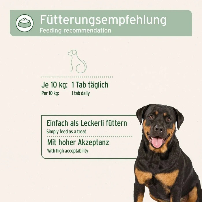 AgilityVET Tabs