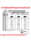 Gastrointestinal Hairball