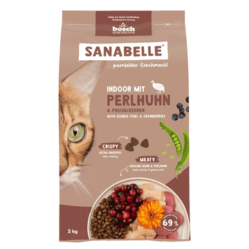 Indoor avec pintade