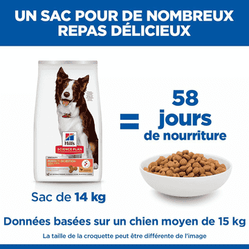 Canine Perfect Digestion Medium Breed