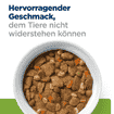 Canine Metabolic Weight loss & Maintenance Beef Stew - Dose