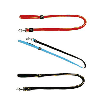 Active Dog city leash