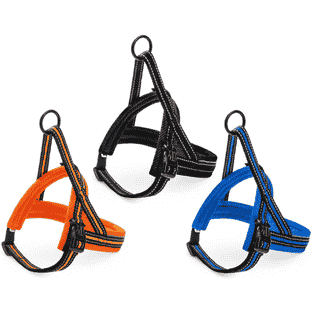 Harnais Nordic Sport M