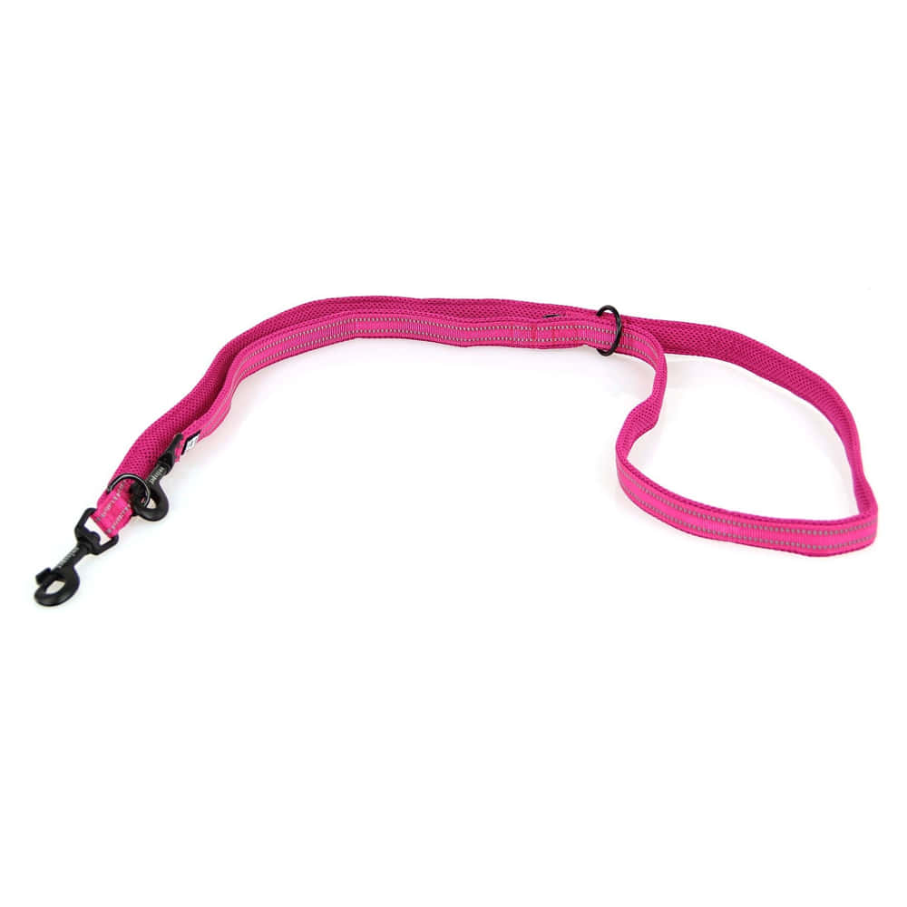 Leash Varberg